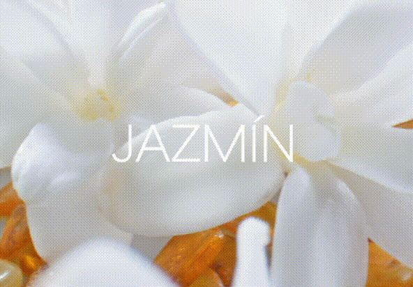 perfumes florales para mujer Y25 Cyzone