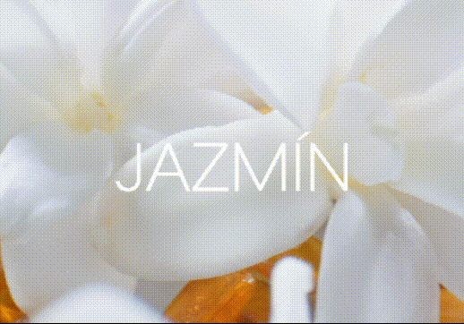 perfumes florales para mujer Y25 Cyzone